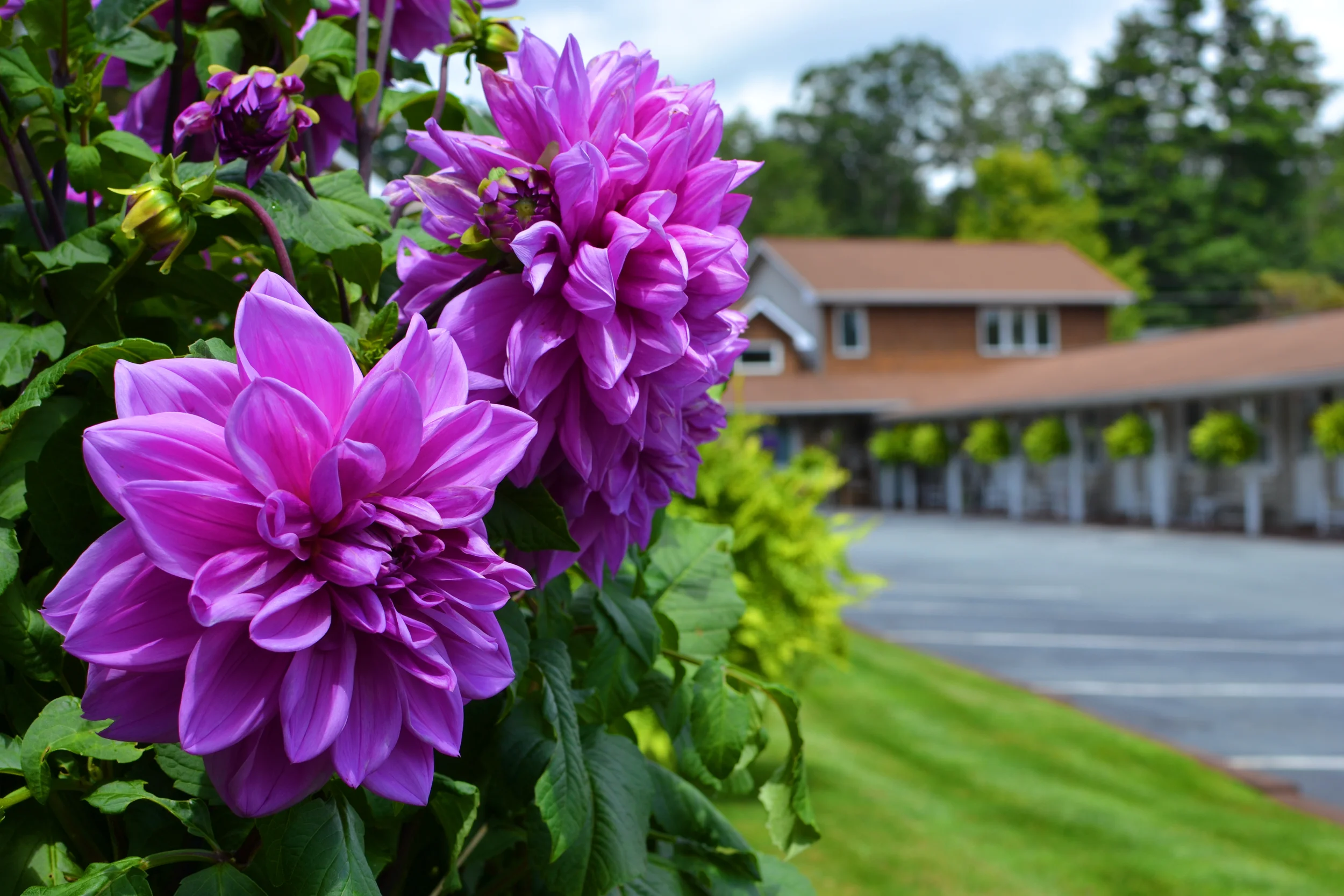 Alpine Village Inn in Blowing Rock, North Carolina Home